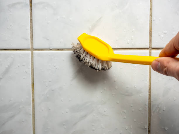 Milton, WI Mold Removal Company