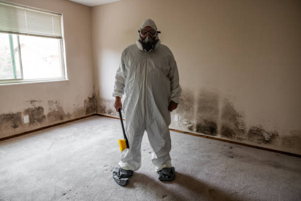 Best Fast Mold Removal  in Milton, WI